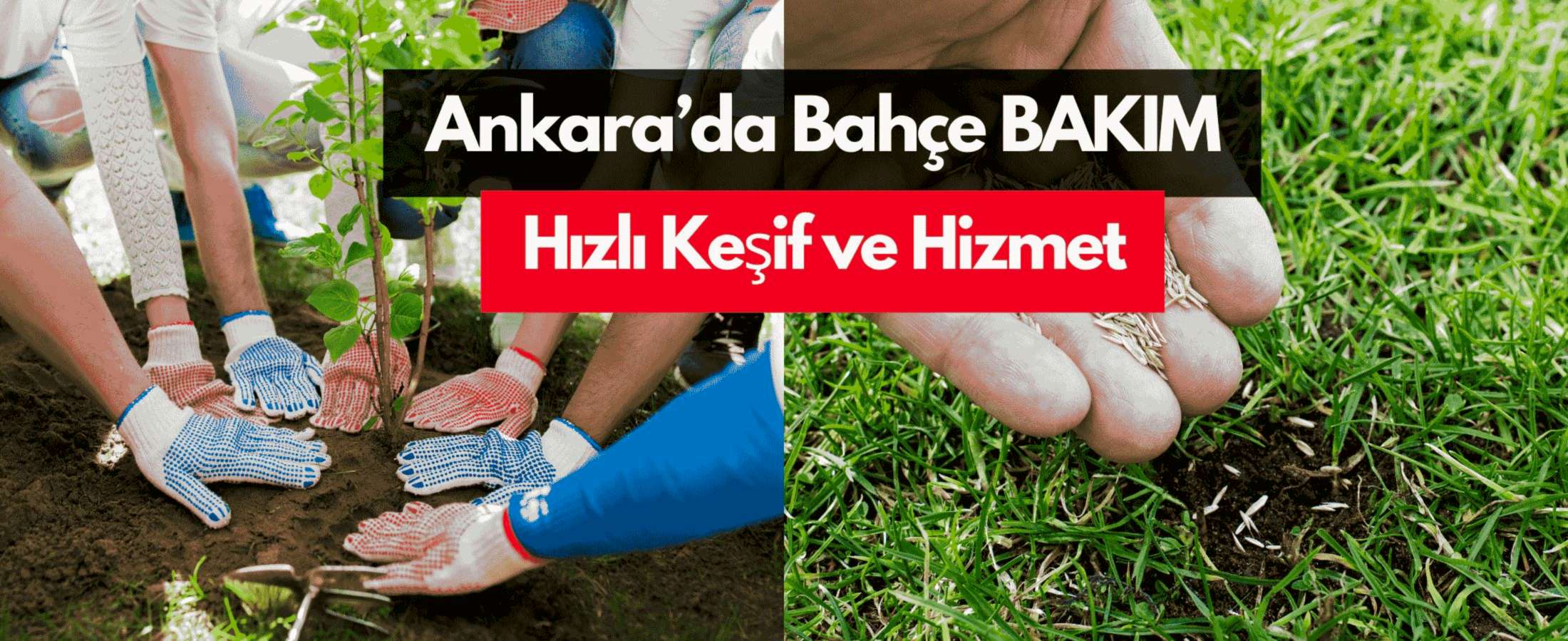 Ankara'da ÇİM EKİM HİZMETLERİ