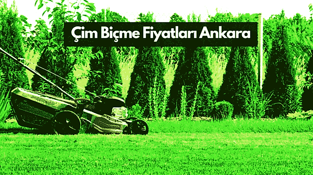 Ankara Çim Biçme Fiyatları: Metrekare başına 5 – 15 TL