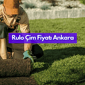 Ankara'da Rulo Çim Metrekare Fiyatı, 60 ₺ ile 90 ₺