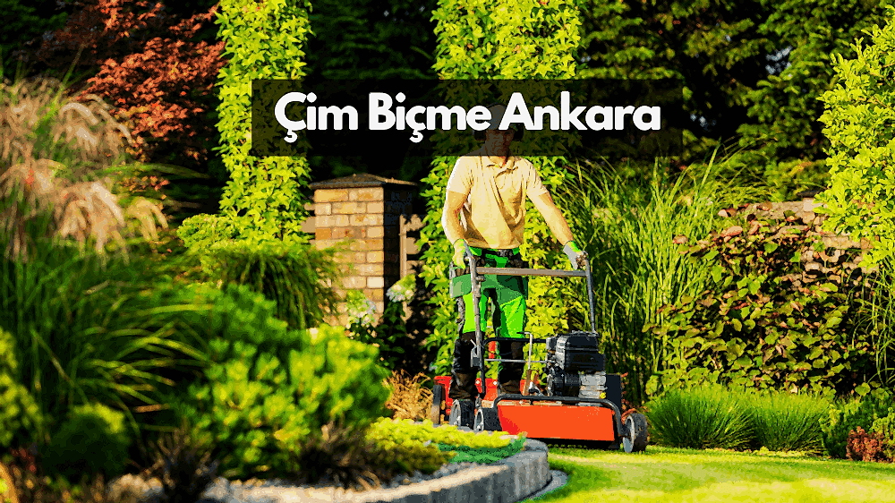 Çim Biçme Ankara - Çim Biçme Hizmetleri ve Ustası