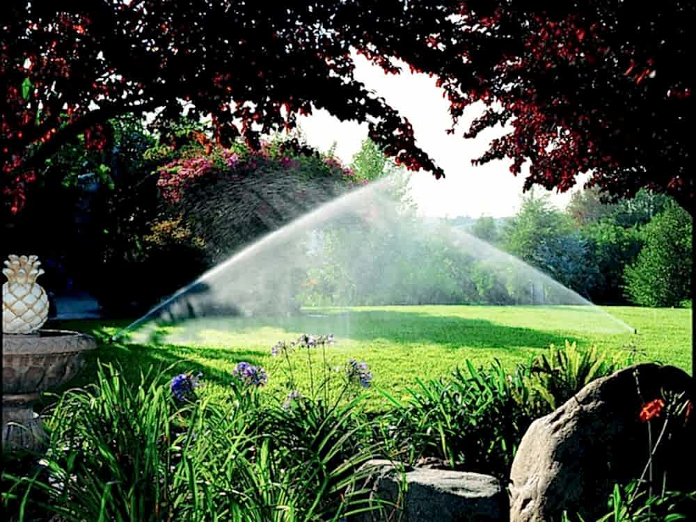 Ankara Çim Tohumu Satan Firmalar