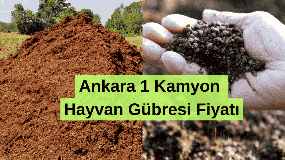 1 Kamyon 18 m3 Ahır Gübresi 1800 ₺. Ankara İçi Nakliye Dahil