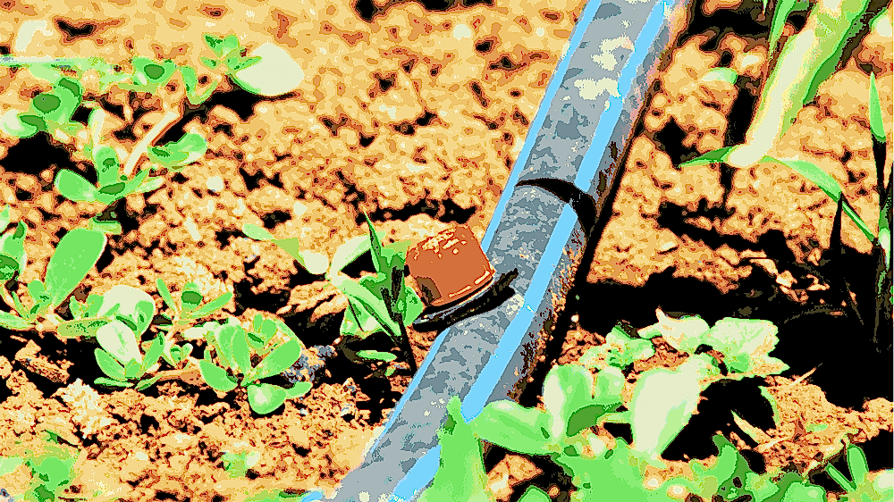 DAMLAMA Sulama Sistemi Kurulumu Maliyeti